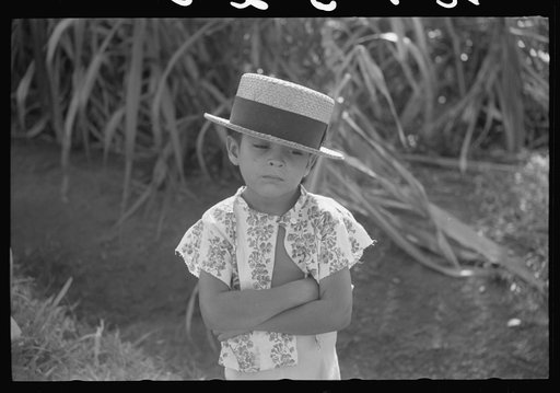 Untitled photo, possibly related to: Farm boy along the road near Corozal, Puerto Rico