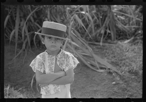 Untitled photo, possibly related to: Farm boy along the road near Corozal, Puerto Rico