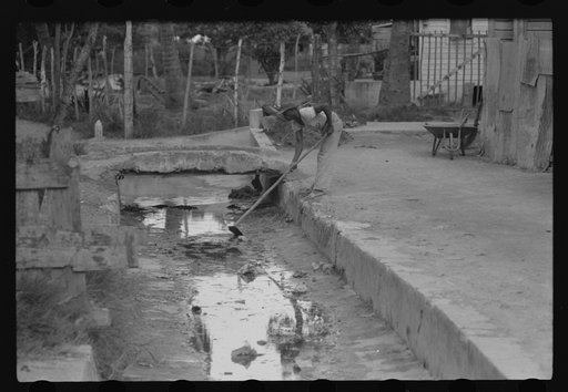Cleaning out open sewer in Christiansted, St. Croix, Virgin Islands