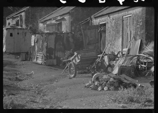 In one of the slum "villages" in the northeast corner of the island. St. Croix, Virgin Islands