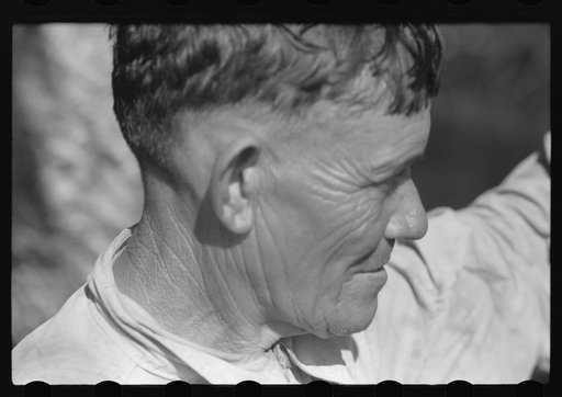 Untitled photo, possibly related to: A Puerto Rican FSA (Farm Security Administration) borrower living near Fredericksted, St. Croix, Virgin Islands