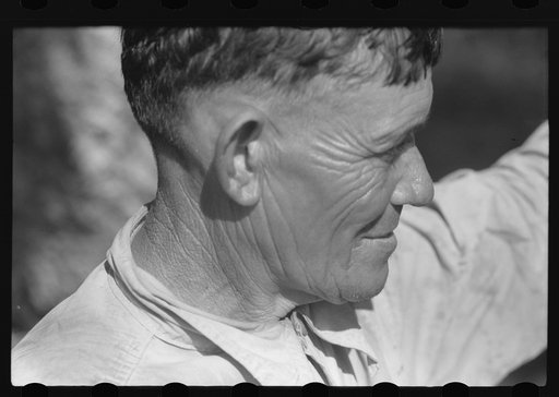 A Puerto Rican FSA (Farm Security Administration) borrower living near Fredericksted, St. Croix, Virgin Islands