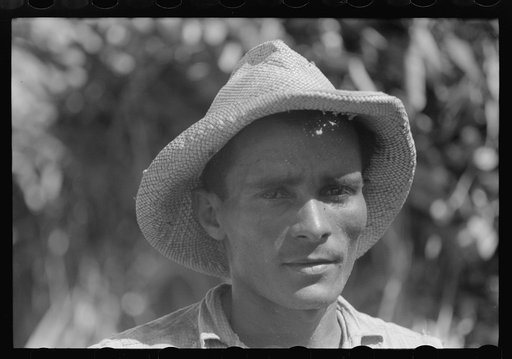 Farm laborer working in a sugar field near Guanica, Puerto Rico