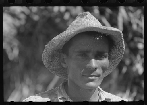 Untitled photo, possibly related to: Farm laborer working in a sugar field near Guanica, Puerto Rico