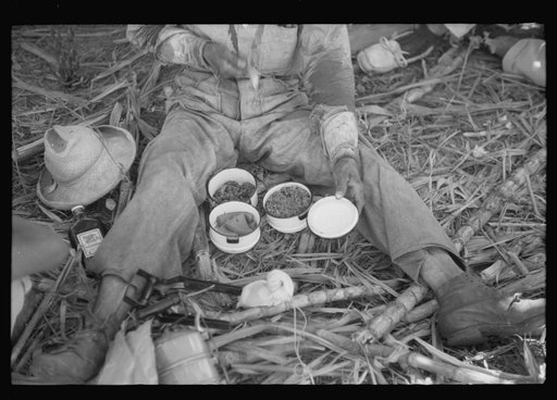 Guanica (vicinity), Puerto Rico. Lunch of a sugar worker consisting of rice, beans and papaya. On a plantation