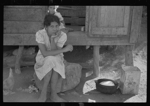 Untitled photo, possibly related to: At the home of a farm laborer along the road in the hills near Yauco, Puerto Rico
