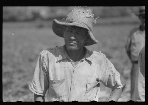 Untitled photo, possibly related to: Farm laborer working in the sugar fields near Yauco, Puerto Rico