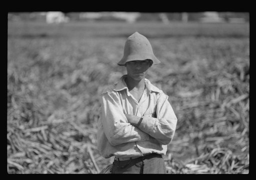 Untitled photo, possibly related to: Farm laborer who works in the sugar fields near Yauco, Puerto Rico
