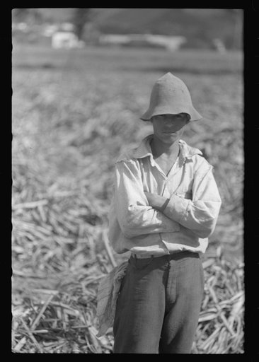 Untitled photo, possibly related to: Farm laborer who works in the sugar fields near Yauco, Puerto Rico