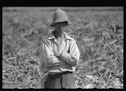 Farm laborer who works in the sugar fields near Yauco, Puerto Rico
