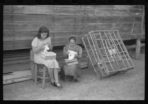 Untitled photo, possibly related to: In the fishing village of Puerto Real, many women take in needlework to do at home to supplement their income from fish. The gloves which these women are stitching are being done for a firm in Mayaguez and will eventually be sold in New York. Puerto Rico