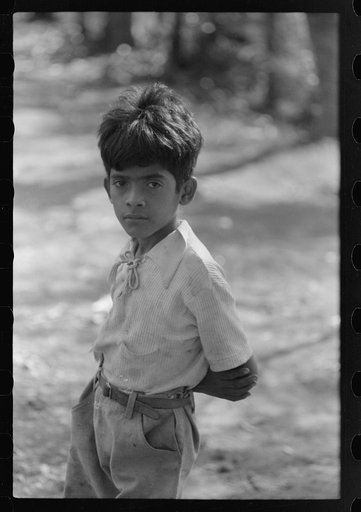 Untitled photo, possibly related to: Farmer's son near the cane fields near Guanica, Puerto Rico