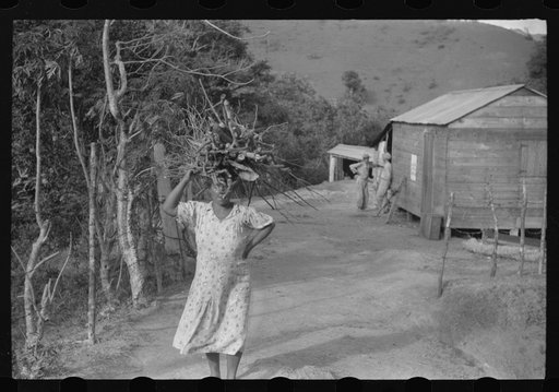 Farmer's wife carrying brushwood to her home in the hills near Yauco, Puerto Rico