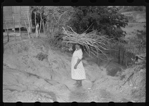 Farmer's wife carrying brushwood to her home in the hills near Yauco, Puerto Rico