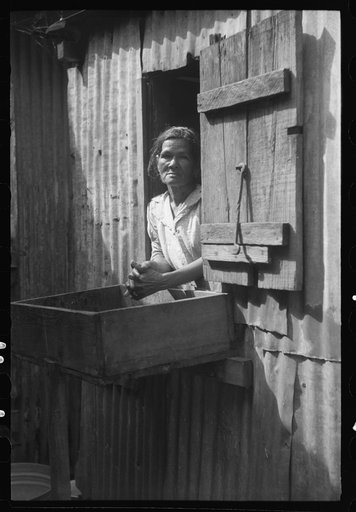 Yabucoa, Puerto Rico. Wife of a sugar mill worker who is on strike at the mill