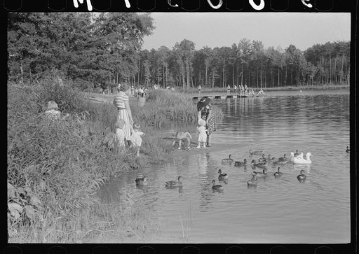 Untitled photo, possibly related to: The lake at Greenbelt, Maryland