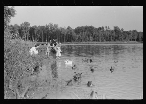Untitled photo, possibly related to: The lake at Greenbelt, Maryland
