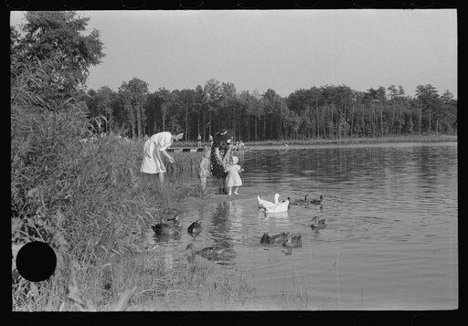 Untitled photo, possibly related to: The lake at Greenbelt, Maryland