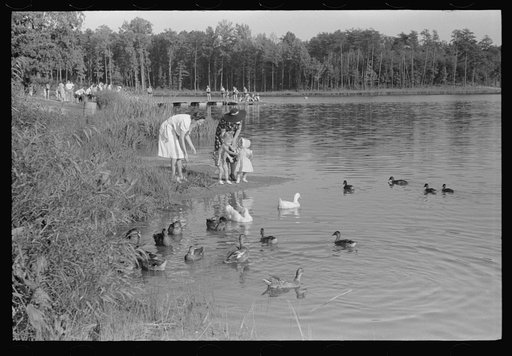 The lake at Greenbelt, Maryland