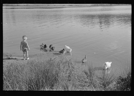 The lake at Greenbelt, Maryland