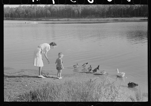 Untitled photo, possibly related to: The lake at Greenbelt, Maryland