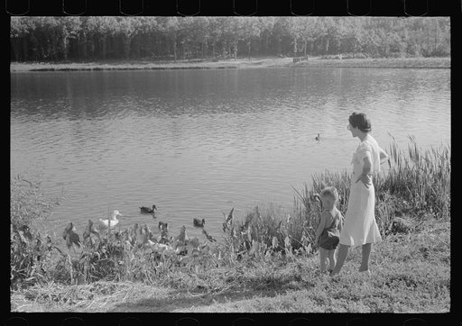 Untitled photo, possibly related to: The lake at Greenbelt, Maryland