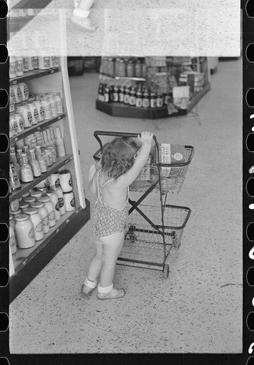 Untitled photo, possibly related to: Shopping in coop store, Greenbelt, Maryland