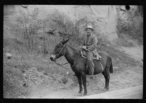 Untitled photo, possibly related to: Old miner on donkey, still quite a common means of transportation, in county road near Mohegan, West Virginia