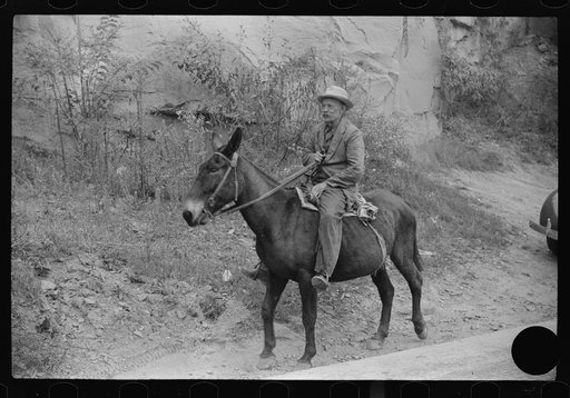 Untitled photo, possibly related to: Old miner on donkey, still quite a common means of transportation, in county road near Mohegan, West Virginia