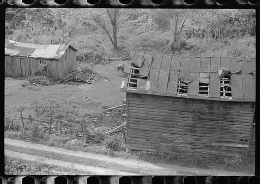 Section of farm on main highway between Morgantown and Elkins, West Virginia