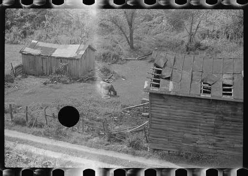 Untitled photo, possibly related to: Section of farm on main highway between Morgantown and Elkins, West Virginia