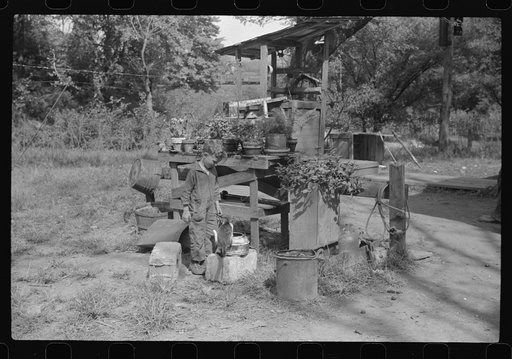 Untitled photo, possibly related to: Flower garden in front yard of WPA (Works Progress Administration) worker's home, South Charleston, West Virginia