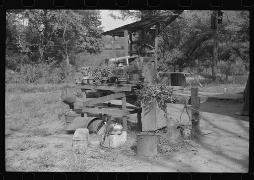 Flower garden in front yard of WPA (Works Progress Administration) worker's home, South Charleston, West Virginia