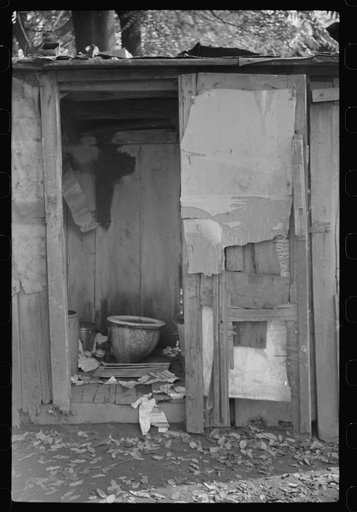 Privy in Negro section "Paradise Alley." Only one for sixty people. Charleston, West Virginia