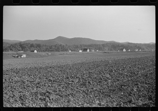 Untitled photo, possibly related to: Children of homesteaders getting potatoes out of community garden, Tygart Valley, West Virginia