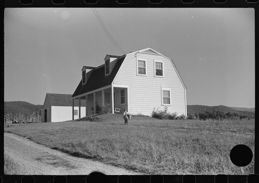 Untitled photo, possibly related to: Homesteader's son bringing home some potatoes he got out of community garden, Tygart Valley, West Virginia