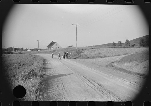 Untitled photo, possibly related to: Children of homesteaders getting potatoes out of community garden, Tygart Valley, West Virginia