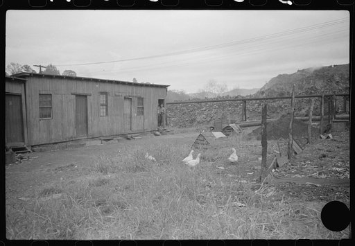 Untitled photo, possibly related to: Section of Rosedale Mining Compnay. Shanties by the river. Scotts Run, West Virginia
