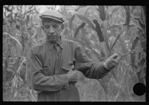 Untitled photo, possibly related to: Mexican miner, Bertha Hill, Scotts Run, West Virginia