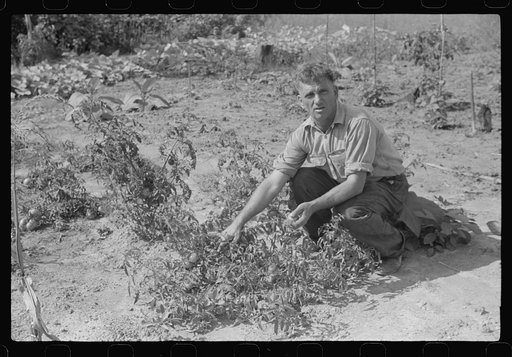 Untitled photo, possibly related to: Former coal miner sitting on his front porch. He is the town philosopher. He repairs his home (note railing and potato sack awning). Experiments with an elaborate garden on a hill about seven miles away. Jere, Scotts Run, West Virginia