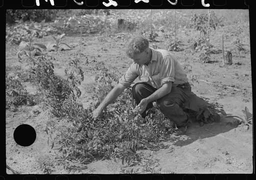 Untitled photo, possibly related to: Former coal miner sitting on his front porch. He is the town philosopher. He repairs his home (note railing and potato sack awning). Experiments with an elaborate garden on a hill about seven miles away. Jere, Scotts Run, West Virginia