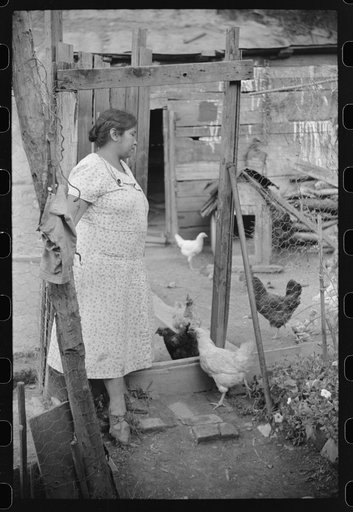 Untitled photo, possibly related to: Mexican miner's wife and child are visited by another miner's wife (Hungarian) who is interested in starting a maternal health clinic there. Scotts Run, Bertha Hill, West Virginia