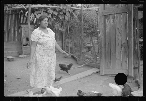 Untitled photo, possibly related to: Mexican miner's wife and child are visited by another miner's wife (Hungarian) who is interested in starting a maternal health clinic there. Scotts Run, Bertha Hill, West Virginia