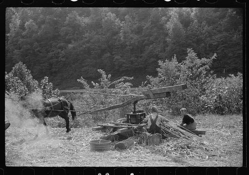 Pressing juice from sugarcane to make sorghum molasses, Racine, West Virginia