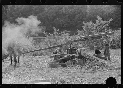 Untitled photo, possibly related to: Pressing juice from sugarcane to make sorghum molasses, Racine, West Virginia