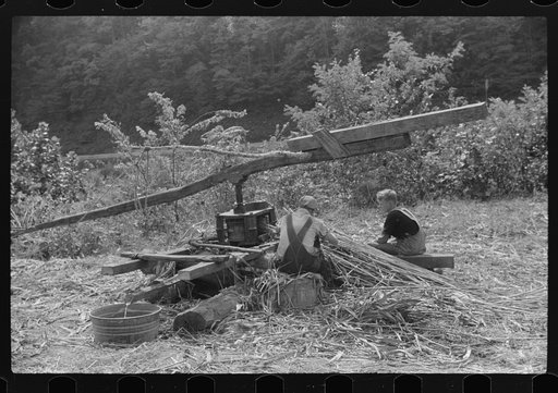 Untitled photo, possibly related to: Pressing juice from sugarcane to make sorghum molasses, Racine, West Virginia