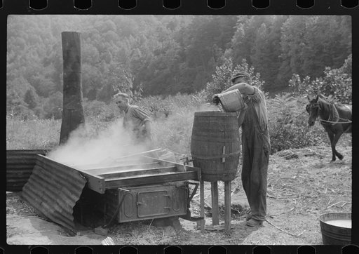 Juice from sugarcane being poured into barrel. It is cooked in vat or still, into sorghum molasses. Racine, West Virginia