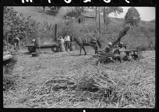 At right, pressing juice from sugarcane. At left boiling it into sorghum molasses. Racine, West Virginia