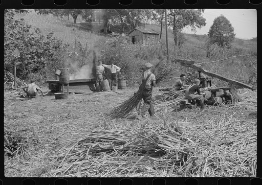 At right, pressing juice from sugarcane. At left boiling it into sorghum molasses. Racine, West Virginia