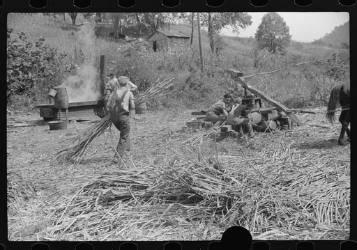 Untitled photo, possibly related to: At right, pressing juice from sugarcane. At left boiling it into sorghum molasses. Racine, West Virginia